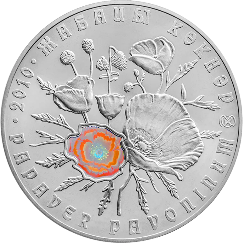 Papaver pavoninum (wild Kazakhstan poppy)-Reverse