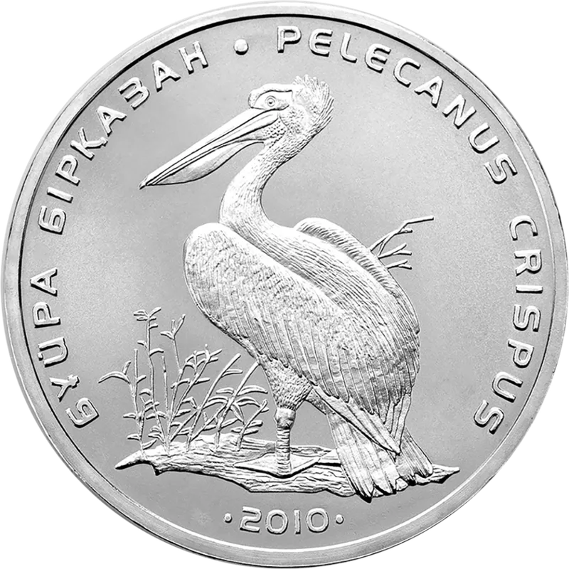 Кудрявый Пеликан (50)-Реверс