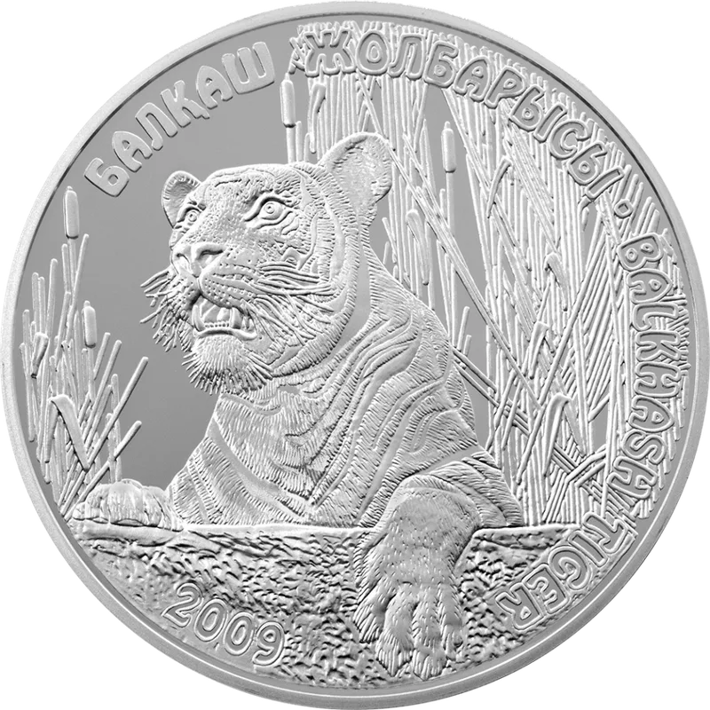 Балхашский тигр (500)-Реверс