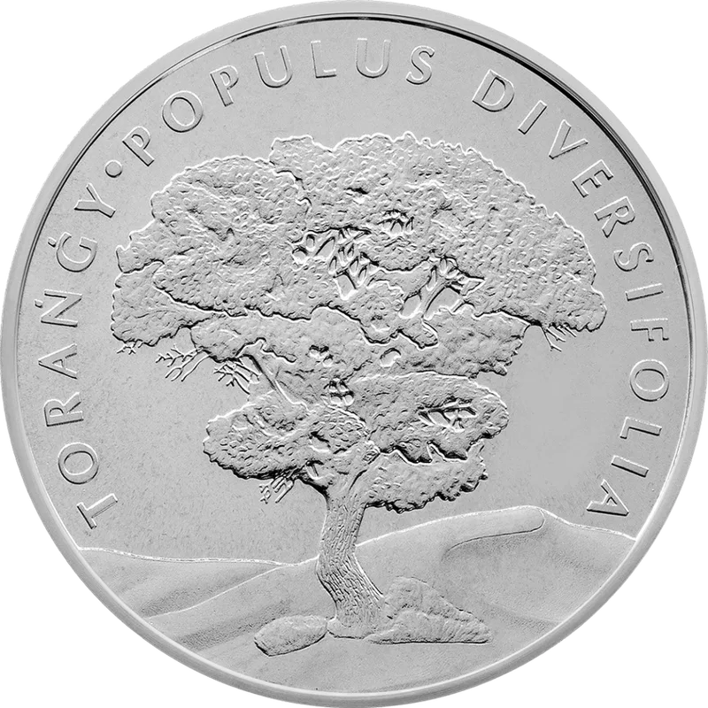 Populus diversifolia (Turanga poplar) brilliant uncirculated-Reverse