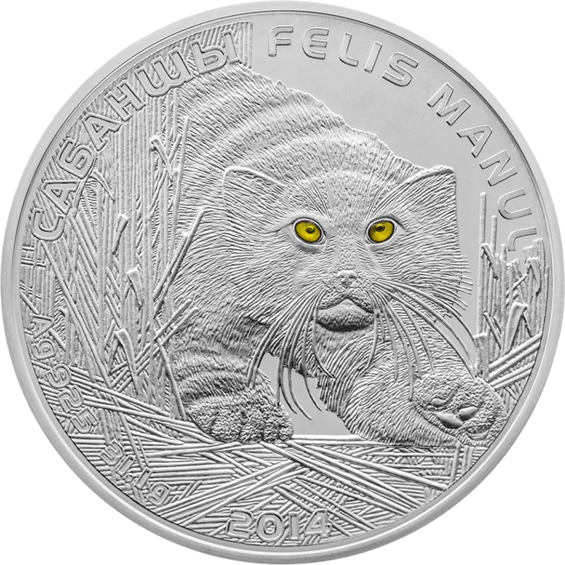 Манул (500)-Обратный