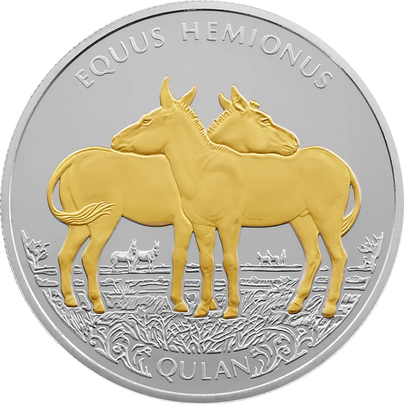 Kulan (200)-Reverse