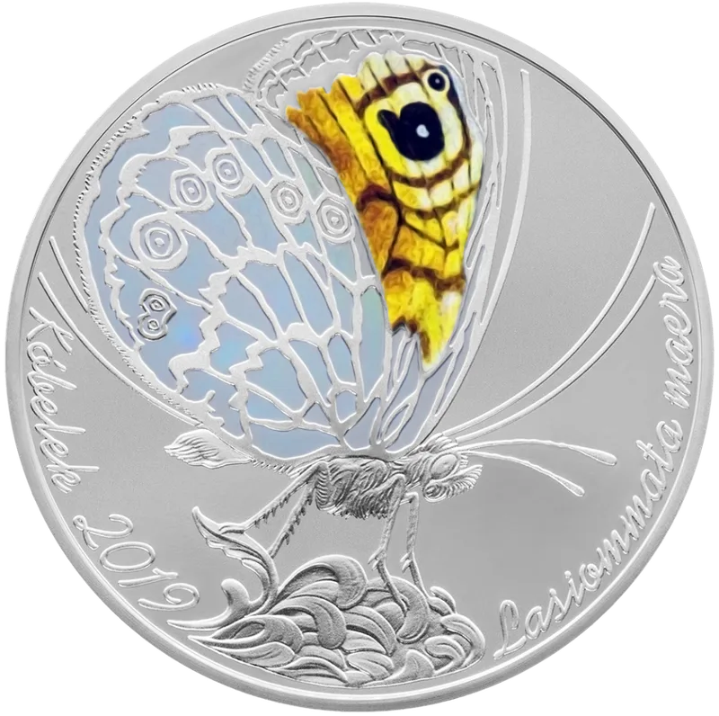 Babochka (200)-Reverse