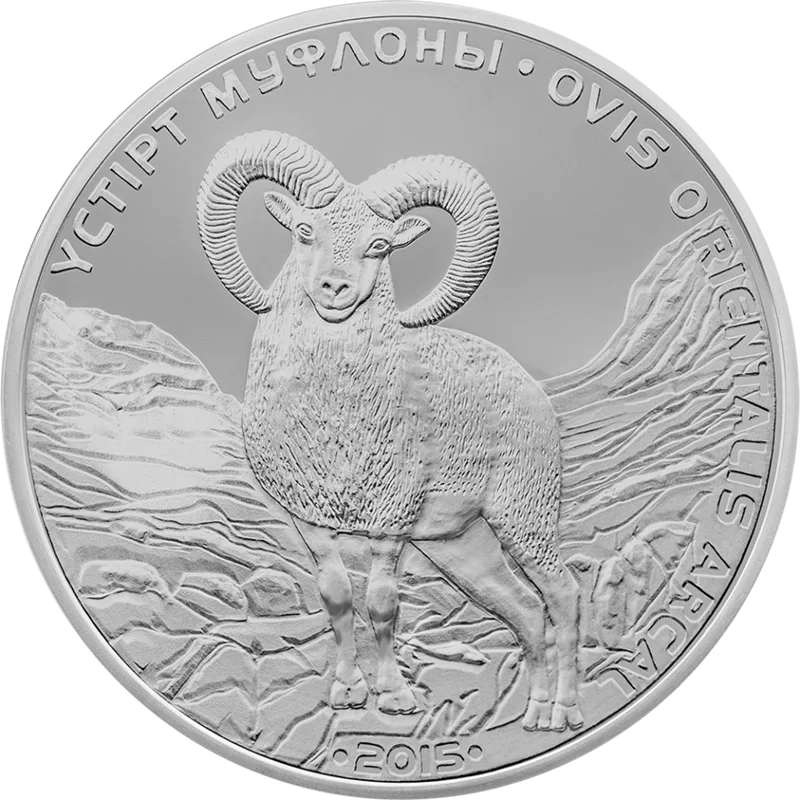 Ustyurtskiy Muflon (500)-Reverse