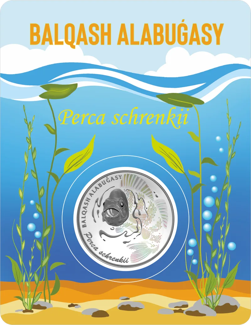 BALQASH ALABUǴASY (proof-like)-Averse
