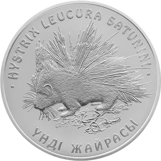 Дикобраз (500)-Кері