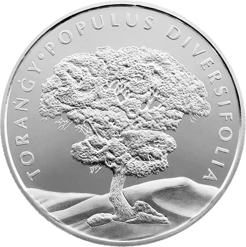 Populus diversifolia (Turanga poplar) uncirculated-Reverse