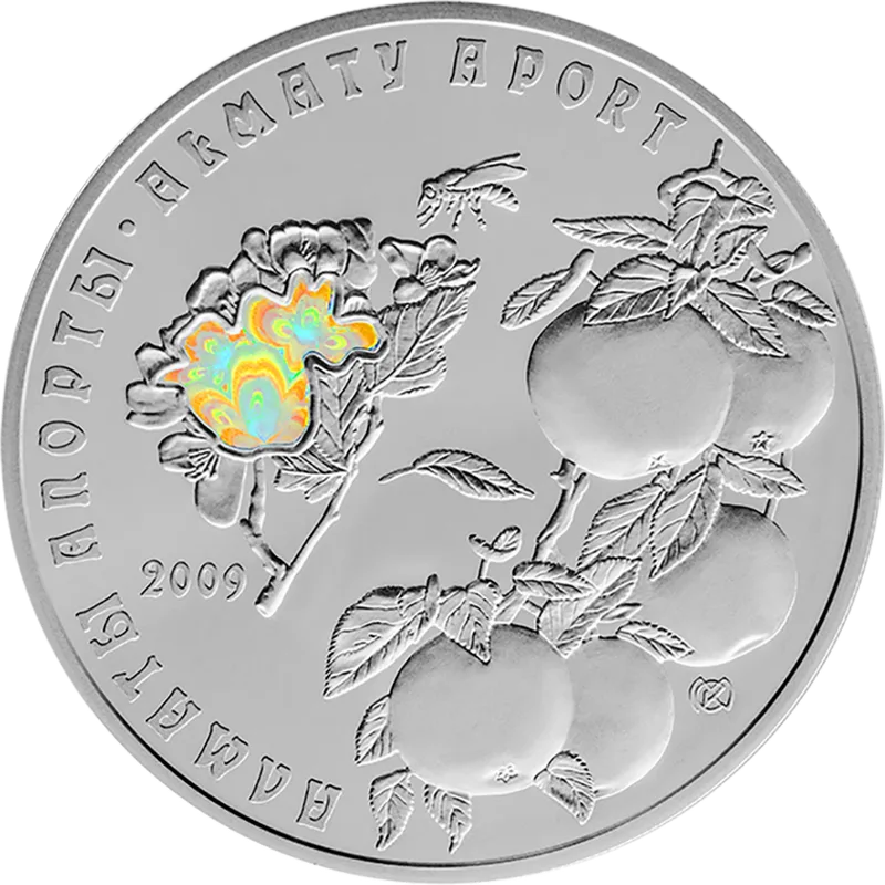 Almaty aport-Reverse