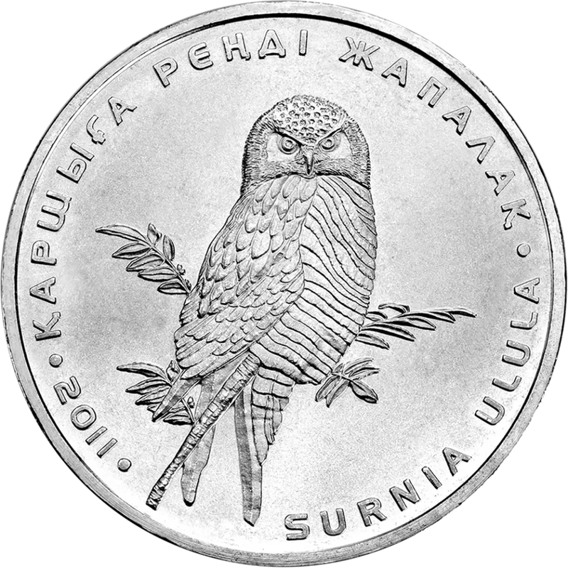 Yastrebinaya Sova (50)-Reverse
