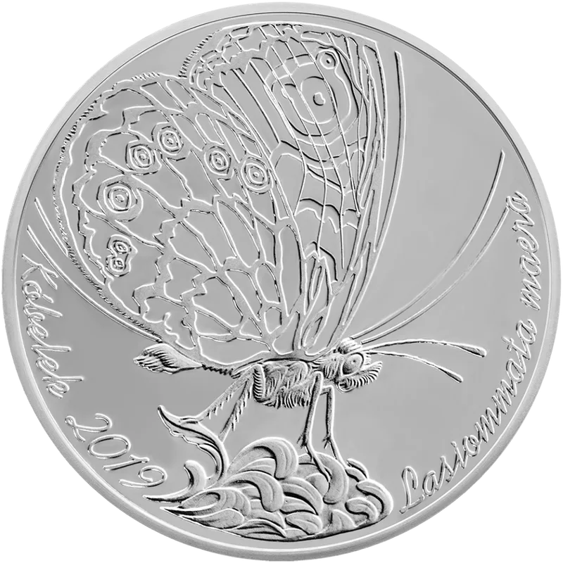 Babochka (100)-Reverse