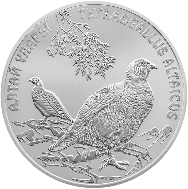 Алтайский Улар (500)-Реверс